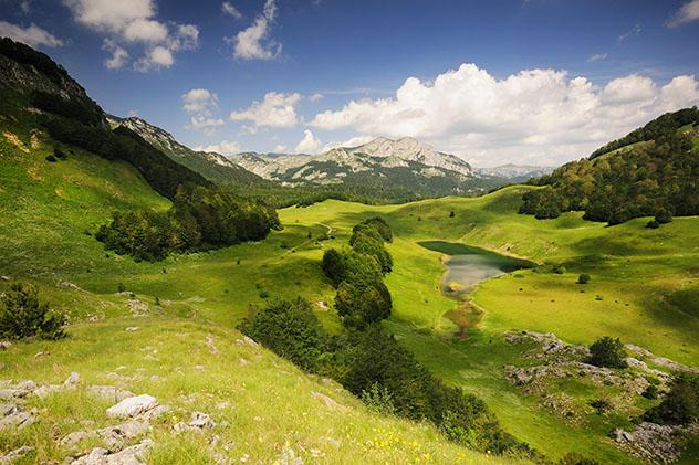 El prístino bosque del Parque Nacional Sutjeska, Bosnia y Herzegovina © miamia / Shuttertock