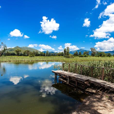 Hong Kong Wetland Park, Hong Kong