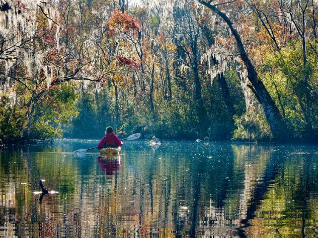 En kayak bajo el musgo español de Jacksonville, Florida, EE UU © Adventure Kayak Florida