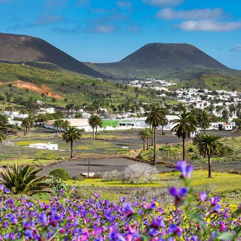 Haría, Lanzarote