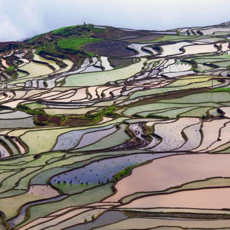 Bancales de arroz de Yuányáng, China