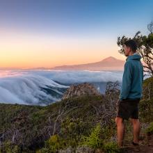 Parque Nacional de Garajonay, La Gomera, Canarias, España