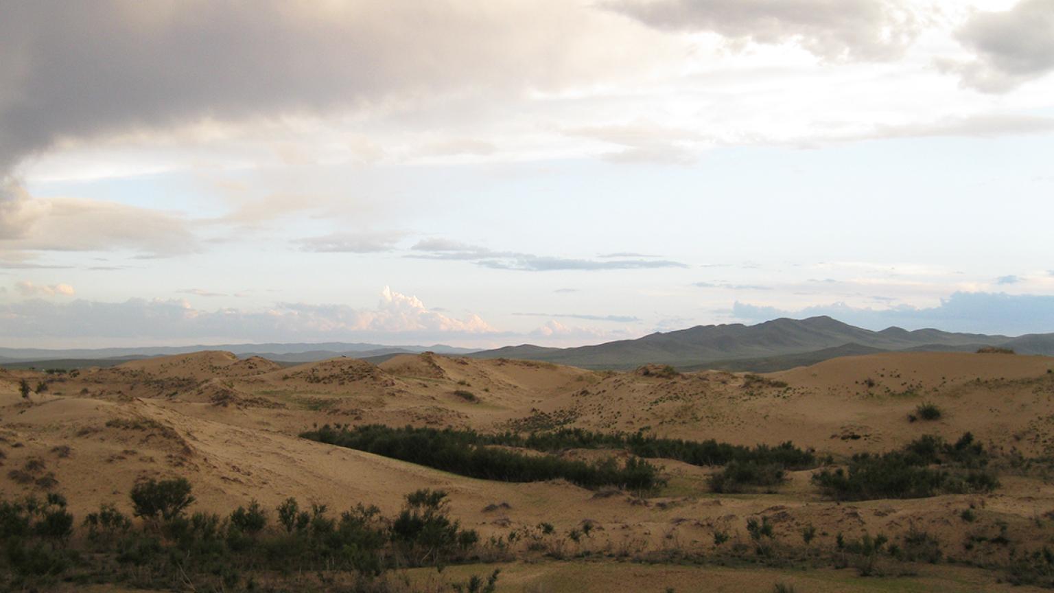 Desierto de Gobi, Mongolia