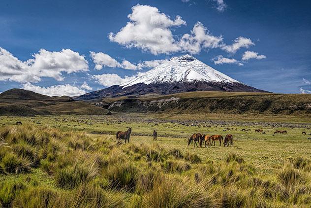 Ecuador: el volcán Cotopaxi
