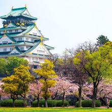 Castillo de Osaka en la primaveral temporada de 'sakura' (floración de los cerezos)