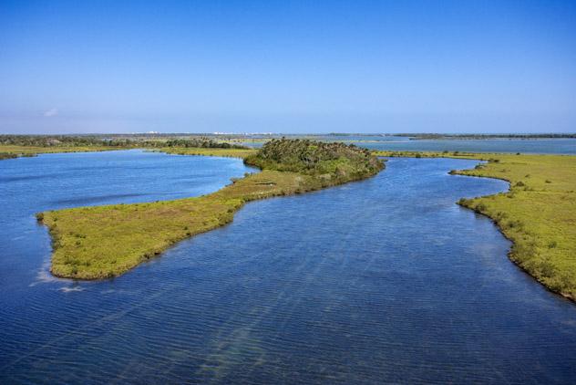 Se puede remar entre los manglares de Mosquito Lagoon, costa espacial de Florida, EE UU © Jupiterimages / Getty Images