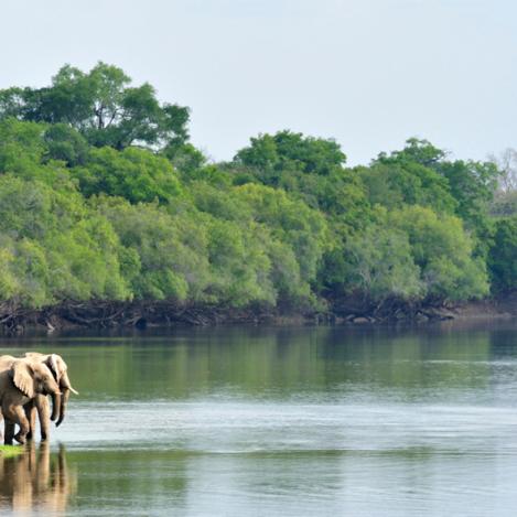 Parque Nacional Kafue, Zambia