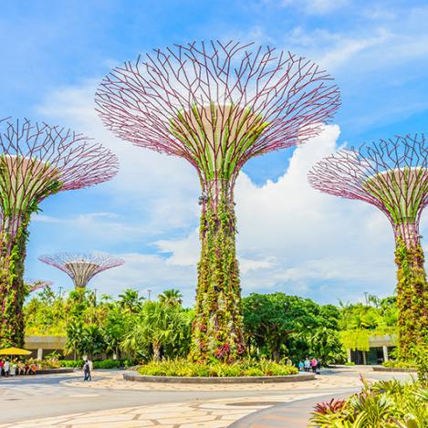 Gardens by the Bay, Singapur