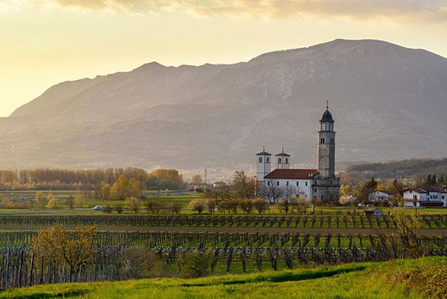 Eslovenia: viñedos en el valle de Vipava