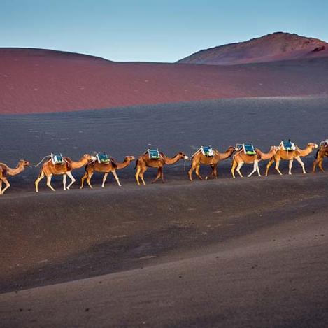 Parque Nacional de Timanfaya
