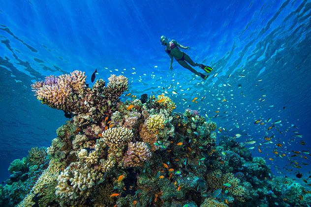 Bucear en Oriente Próximo: el Mar Rojo, Egipto