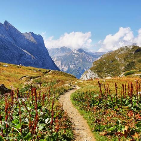 Parc Natioal de la Vanoise, Saboya y Mont Blanc, Francia