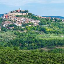 Pueblo cimero de Motovun rodeado de viñedos, Istria, Croacia