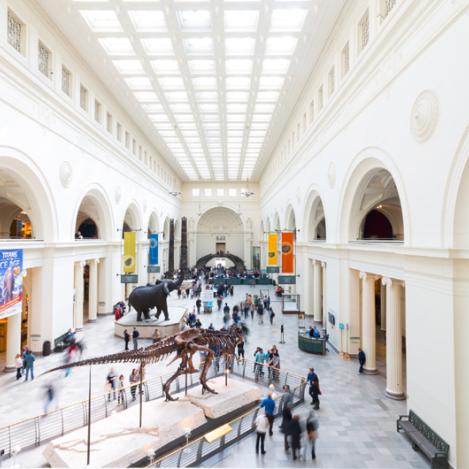 The Field Museum, Chicago, Estados Unidos