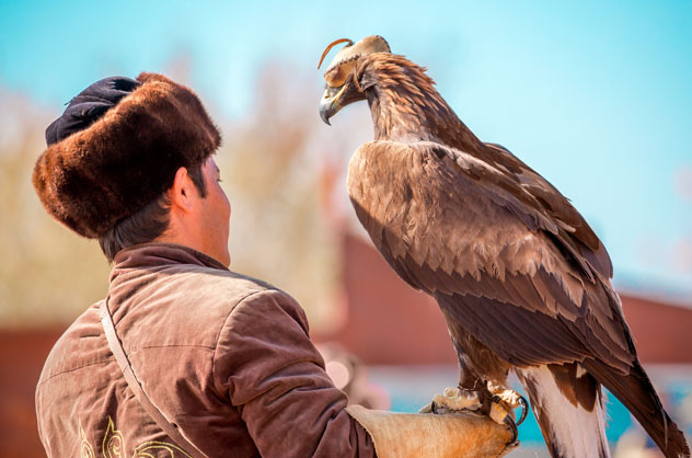 Águila real en los brazos de un cazador kazajo. © Vera Larina/Shutterstock