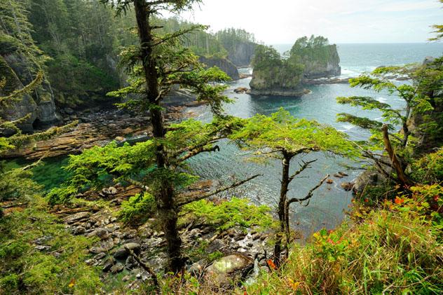 Olimpic National Park, Península Olímpica, Washington, costa del Pacífico, EE UU © 2009fotofriends / Shutterstock