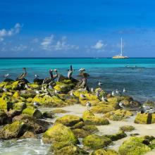 Aruba