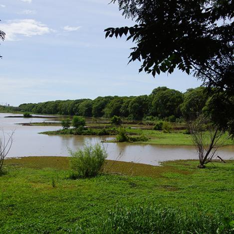 Reserva Ecológica Costanera Sur, Buenos Aires, Argentina