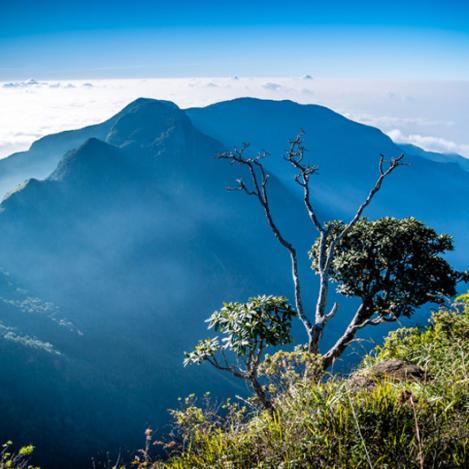Llanuras de Horton y Fin del Mundo, Sri Lanka
