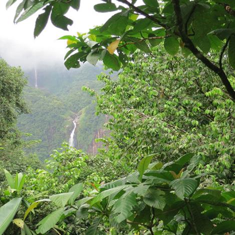 Cataratas del Carbet, Guadalupe