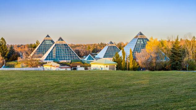 Conservatorio Muttart. Vadim Gouida/Shutterstock ©