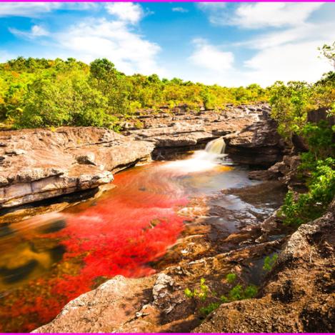 Caño Cristales, Colombia