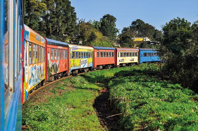 El Serra Verde Express en su trayecto rodeado de vegetación por las montañas entre Curitiba y Morretes. cabuscaa/Shutterstock ©