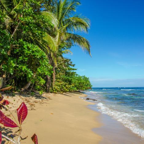 Manzanillo, costa meridional del Caribe, Costa Rica