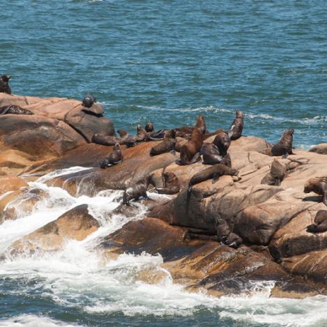 Cabo Polonio, Uruguay