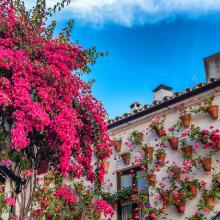 Fiesta de los Patios de Córdoba, Andalucía, España