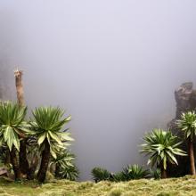 Montañas Simien, Etiopía