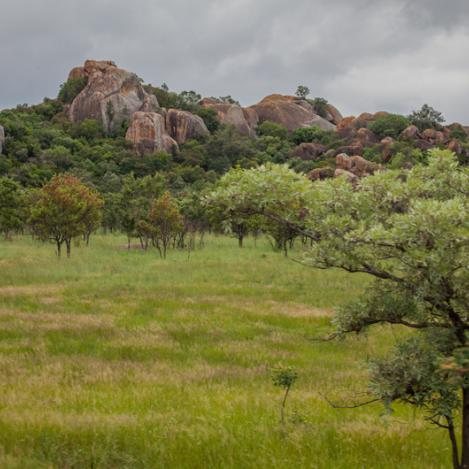 Parque Nacional Matobo, Zimbabue
