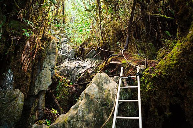 Parque Nacional Gunung Mulu en Malasia