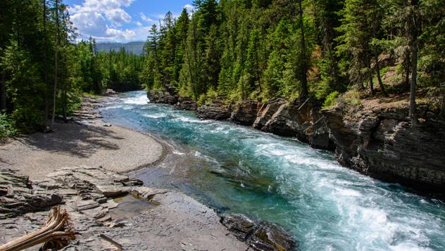 Estados Unidos, Middle Fork, río Salmon © Maks Ershov / Shutterstock