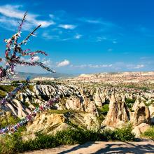 Árbol de los deseos, Capadocia, Turquía