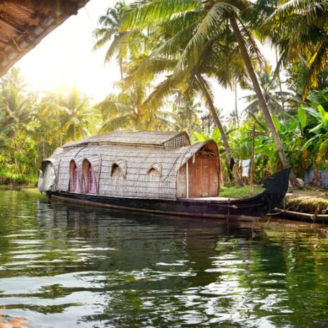 La tropical Kerala, India
