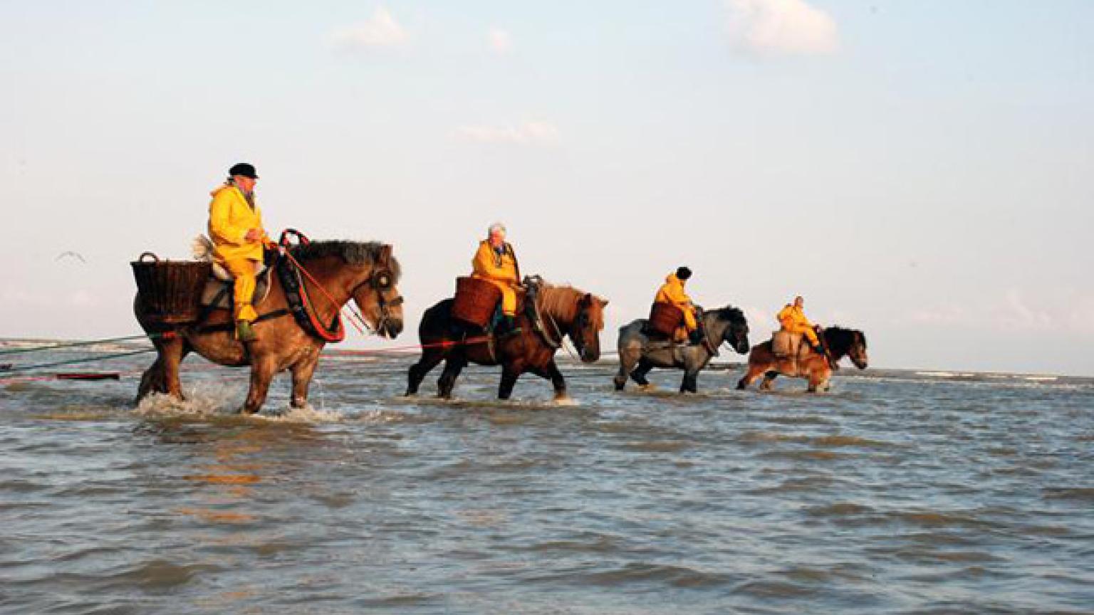 'Paardenvissers', Oostduinkerke, Bélgica © www.koksijde.be