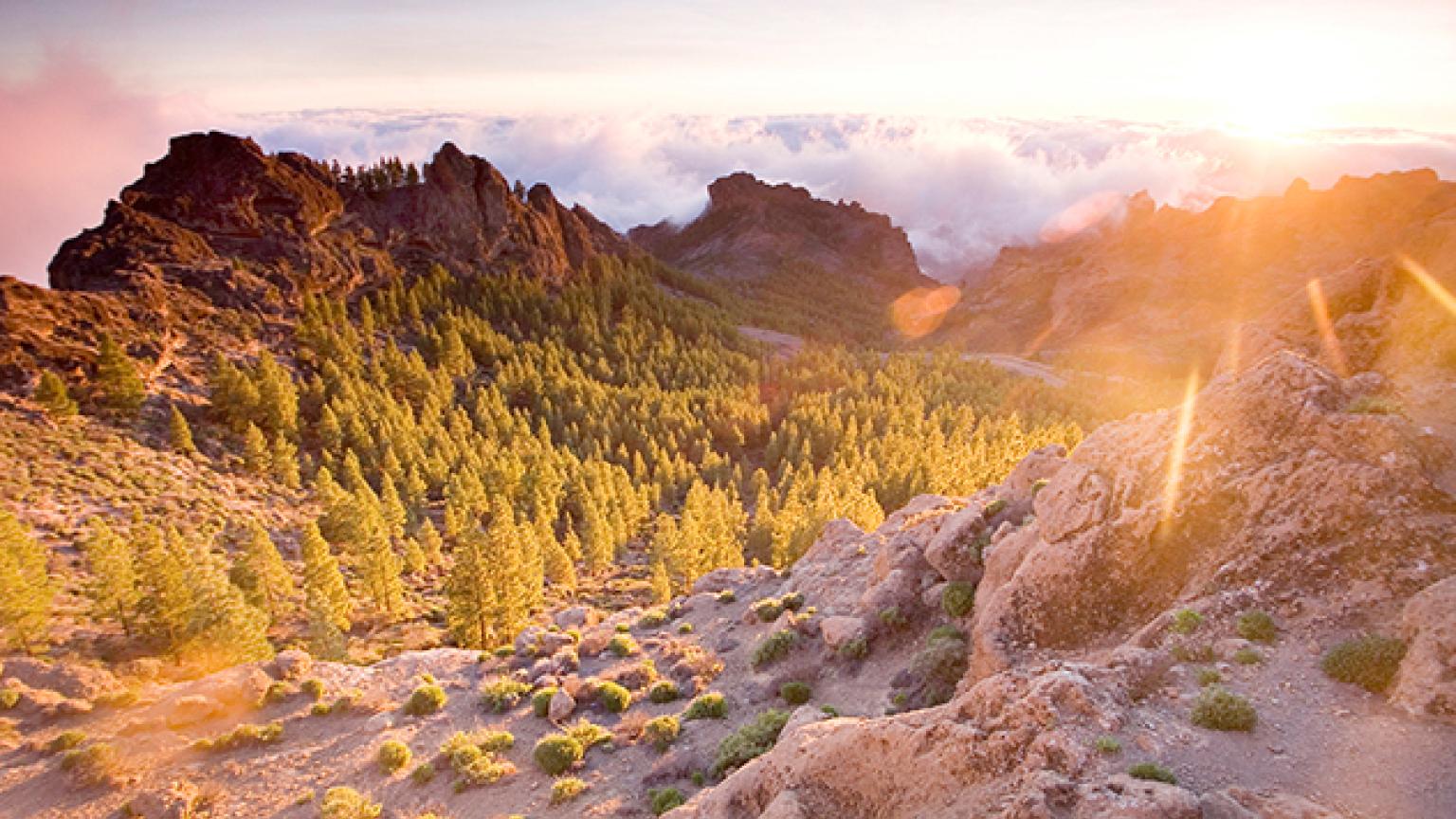 Gran Canaria, Islas Canarias, España