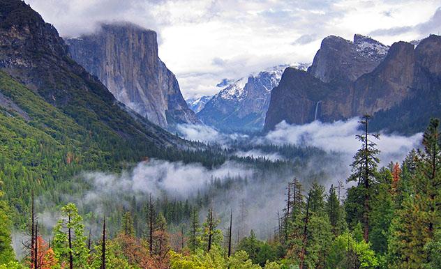 Escritos sobre la naturaleza, un libro para conocer a uno de los profetas de la conciencia medioambiental