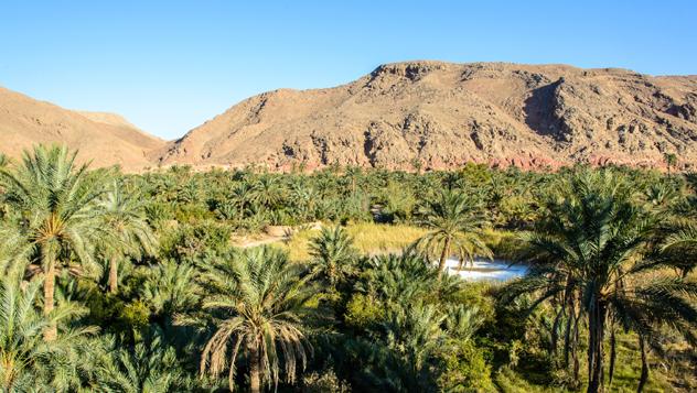  Oasis de Garmeh, Irán © Jakob Fischer / Shutterstock