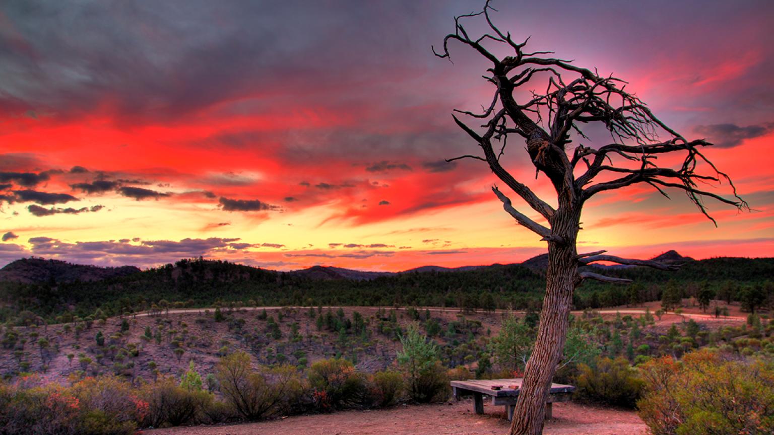 Australian outback, Flinders Ranges National Park 