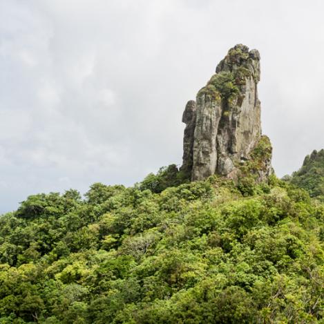 Senderismo en el Cross-Island Track, Islas Cook