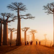Madagascar