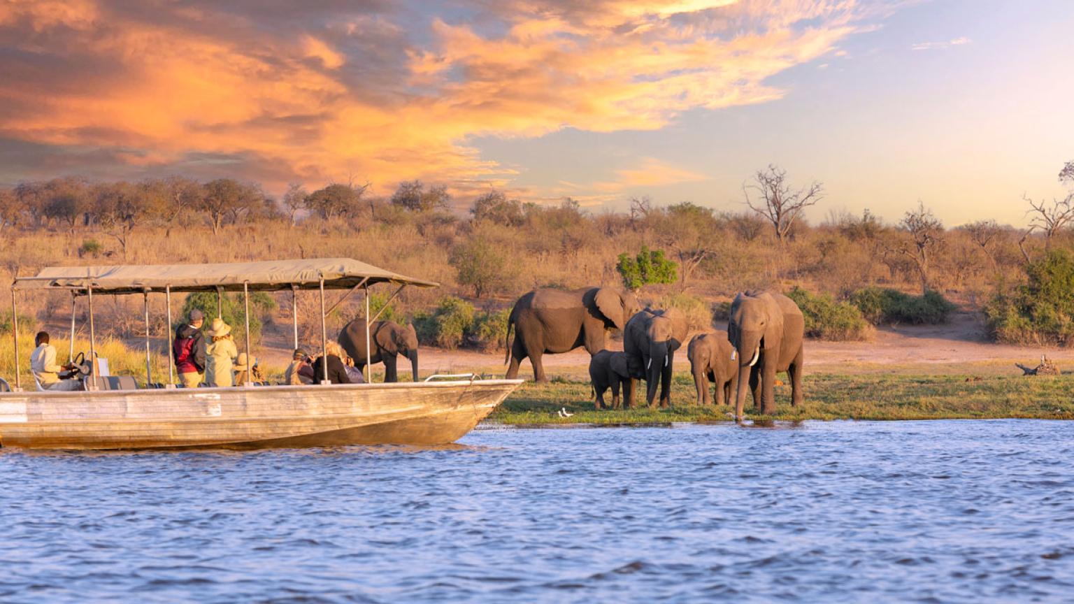 Chobe National Park.