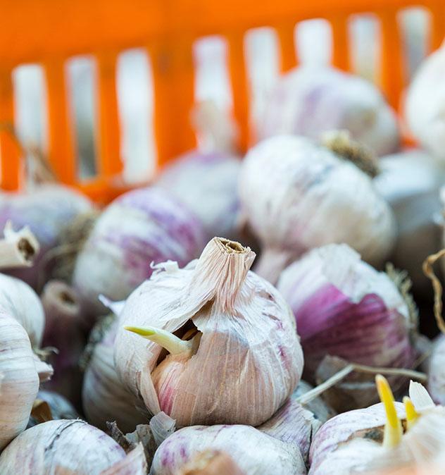 El Farmers Market de Margaret River, , Australia Occidental, Top 01 de Best in Asia Pacific 2019, los 10 mejores destinos de Asia-Pacífico
