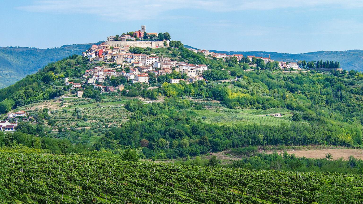 Pueblo cimero de Motovun rodeado de viñedos, Istria, Croacia