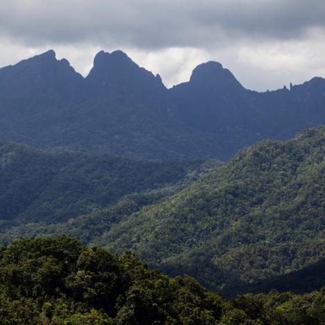 Tierras altas de Namosi, Fiyi