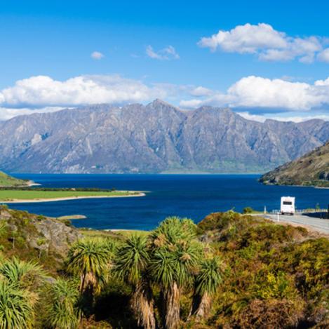 Península de Otago, Nueva Zelanda