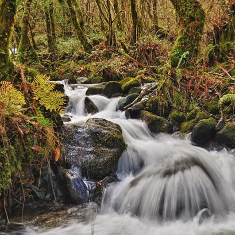 Parque Natural Fragas do Eume, Galicia, España
