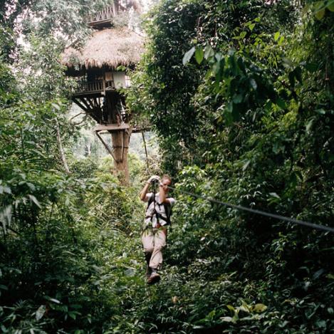 Gibbon Experience, Laos